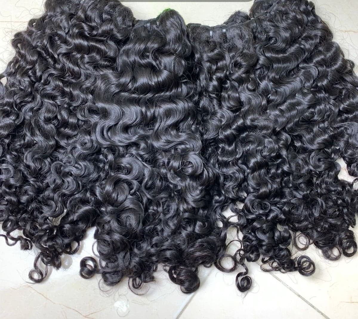 Bundles Burmese curl