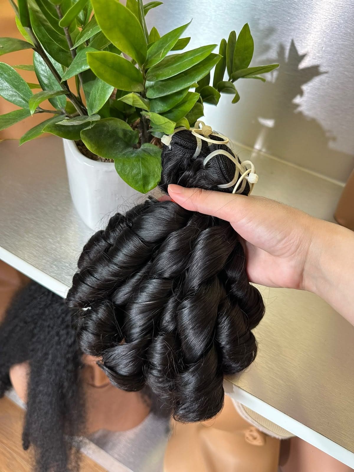 Boucles spirales tenues à la main près d'une plante